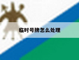 临时号牌怎么处理