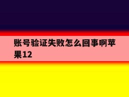 账号验证失败怎么回事啊苹果12