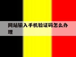 网站输入手机验证码怎么办理