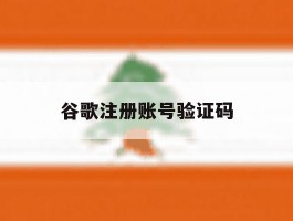 谷歌注册账号验证码