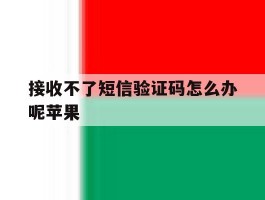 接收不了短信验证码怎么办呢苹果