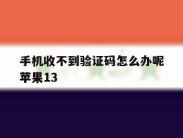 手机收不到验证码怎么办呢苹果13