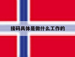 接码具体是做什么工作的