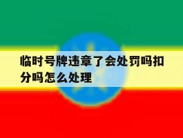 临时号牌违章了会处罚吗扣分吗怎么处理的简单介绍