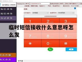 临时短信接收什么意思呀怎么发