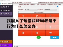 我输入了短信验证码老是不行为什么怎么办