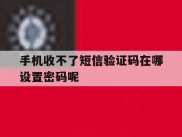手机收不了短信验证码在哪设置密码呢