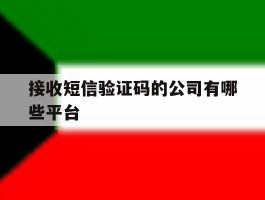 接收短信验证码的公司有哪些平台