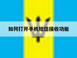 如何打开手机短信接收功能