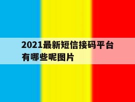 2021最新短信接码平台有哪些呢图片