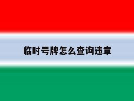 临时号牌怎么查询违章
