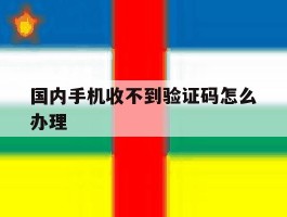 国内手机收不到验证码怎么办理