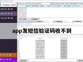 app发短信验证码收不到