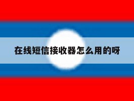 在线短信接收器怎么用的呀