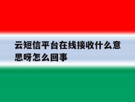 云短信平台在线接收什么意思呀怎么回事