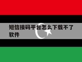 短信接码平台怎么下载不了软件