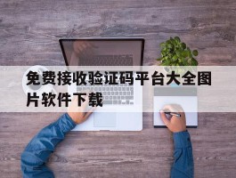 免费接收验证码平台大全图片软件下载