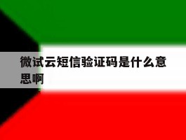 微试云短信验证码是什么意思啊