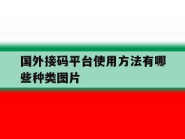 国外接码平台使用方法有哪些种类图片