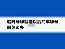 临时号牌就是以后的车牌号吗怎么办