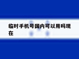 临时手机号国内可以用吗现在