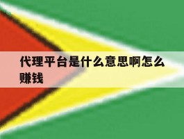 代理平台是什么意思啊怎么赚钱