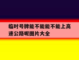 临时号牌能不能能不能上高速公路呢图片大全