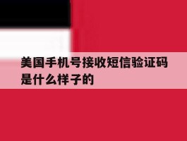 美国手机号接收短信验证码是什么样子的