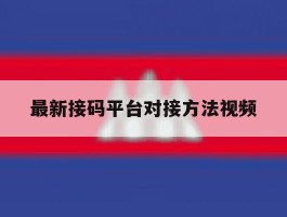 最新接码平台对接方法视频