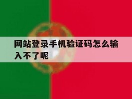 网站登录手机验证码怎么输入不了呢