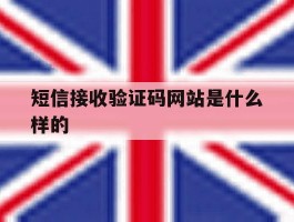 短信接收验证码网站是什么样的