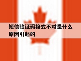 短信验证码格式不对是什么原因引起的