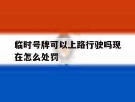 临时号牌可以上路行驶吗现在怎么处罚
