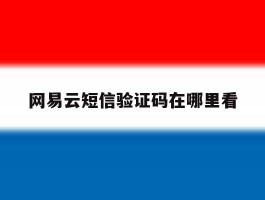 网易云短信验证码在哪里看