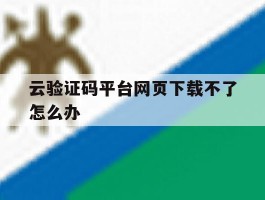 云验证码平台网页下载不了怎么办