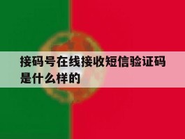 接码号在线接收短信验证码是什么样的的简单介绍