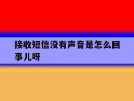 接收短信没有声音是怎么回事儿呀
