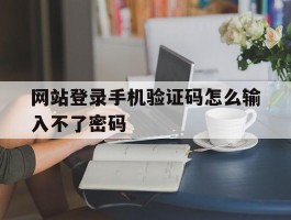 网站登录手机验证码怎么输入不了密码