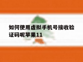 如何使用虚拟手机号接收验证码呢苹果11的简单介绍