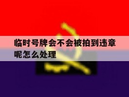 临时号牌会不会被拍到违章呢怎么处理的简单介绍