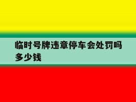 临时号牌违章停车会处罚吗多少钱