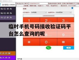 临时手机号码接收验证码平台怎么查询的呢的简单介绍