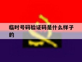 临时号码验证码是什么样子的