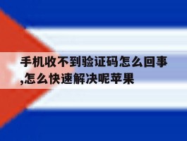 关于手机收不到验证码怎么回事,怎么快速解决呢苹果的信息