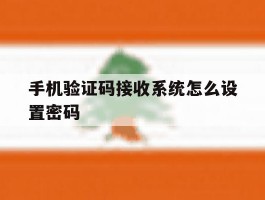 手机验证码接收系统怎么设置密码