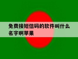 免费接短信码的软件叫什么名字啊苹果