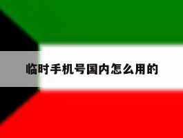 临时手机号国内怎么用的