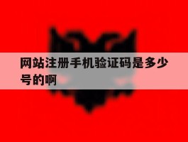 网站注册手机验证码是多少号的啊