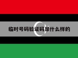 临时号码验证码是什么样的
