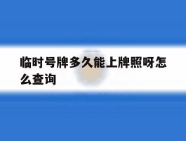 临时号牌多久能上牌照呀怎么查询